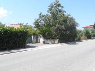 Terreno in vendita, Sant'Egidio alla Vibrata paolantonio