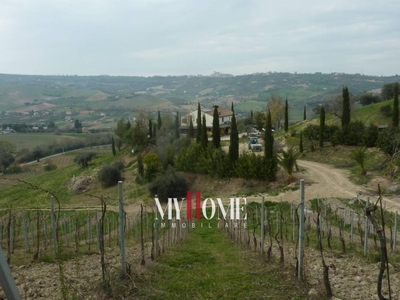 Terreno agricolo in vendita a Ripatransone