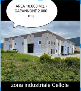 capannone in vendita a Cellole