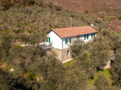 villa indipendente in vendita a Aurigo