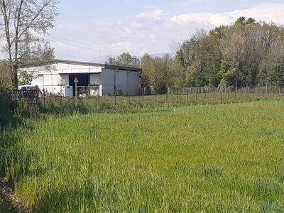 Terreno Agricolo in vendita a Boltiere