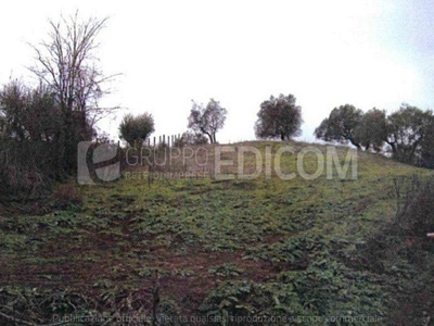 Terreno Agricolo in vendita a Bracciano