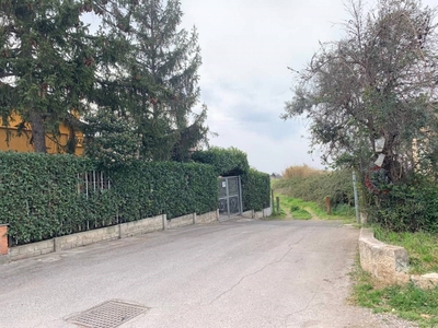 Terreno Agricolo in vendita a Castel Gandolfo via delle Rose, 27