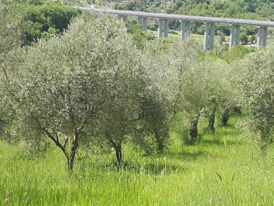 Terreno Agricolo in vendita a Castel Madama