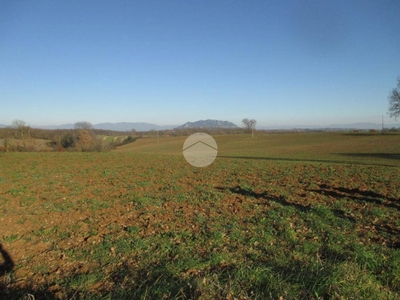 Terreno Agricolo in vendita a Castel Sant'Elia fontana canterina