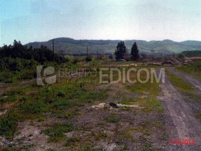 Terreno Agricolo in vendita a Catanzaro località Cavaliere
