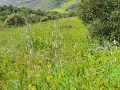 Terreno Agricolo in vendita a Civitavecchia via Colline dell'Argento