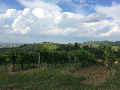 Terreno Agricolo in vendita a Corvino San Quirico via Mazzolino, 14