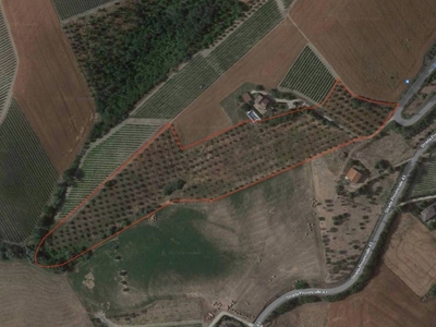 Terreno Agricolo in vendita a Cossignano via Colle San Francesco, 1