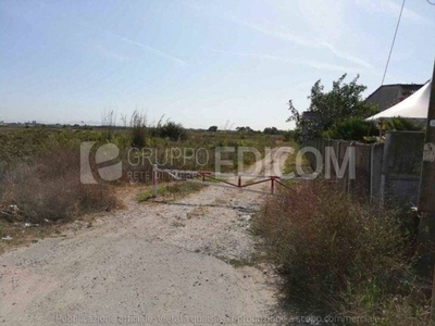 Terreno Agricolo in vendita a Fiumicino viale Coccia di Morto, snc