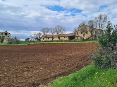 Terreno Agricolo in vendita a Gallicano nel Lazio strada Provinciale Pedemontana I