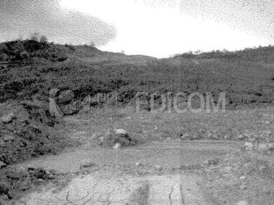 Terreno Agricolo in vendita a Lattarico località Loreto