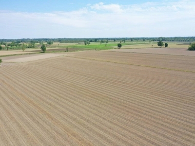 Terreno Agricolo in vendita a Magenta strada Provinciale robecco-bienate