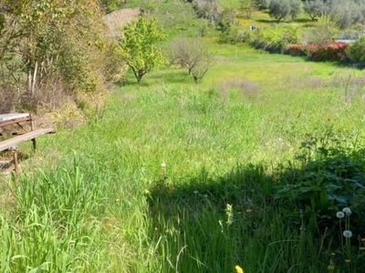 Terreno Agricolo in vendita a Monterotondo reviola