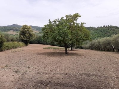 Terreno Agricolo in vendita a Montesarchio strada Vicinale Pantano, 2