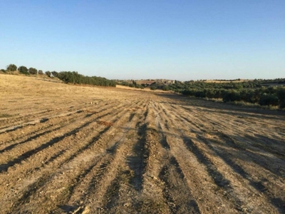 Terreno Agricolo in vendita a Noto provinciale 56