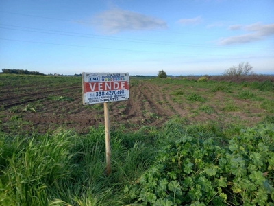 Terreno Agricolo in vendita a Petacciato strada Provinciale Guglionesi Petacciato