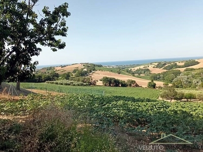 Terreno Agricolo in vendita a Senigallia via Donnella