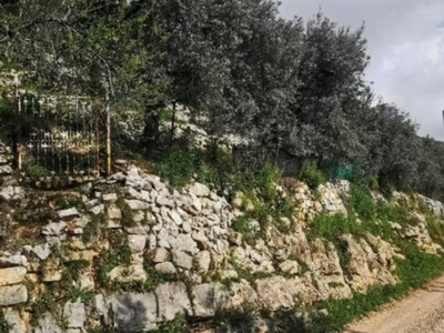 Terreno Agricolo in vendita a Sezze via Casali Tratto 3