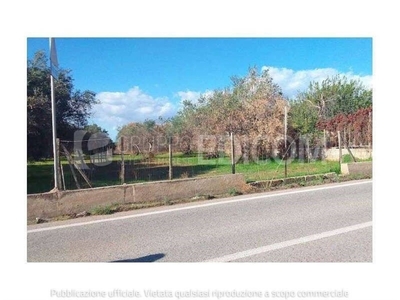 Terreno Agricolo in vendita ad Acate acate Contrada - Bosco Grande
