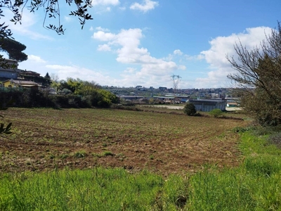 Terreno Agricolo in vendita ad Artena via Colle Pastora