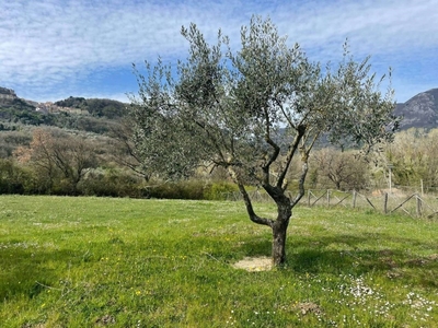Terreno Edificabile in vendita a Oliveto Citra via Madonna della Consolazione
