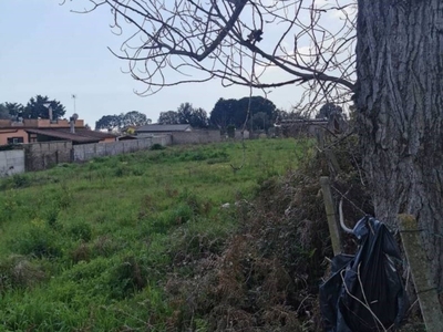 Terreno Residenziale in vendita a Nettuno via Casape