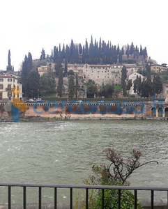 Appartamento Quadrilocale in affitto a Verona