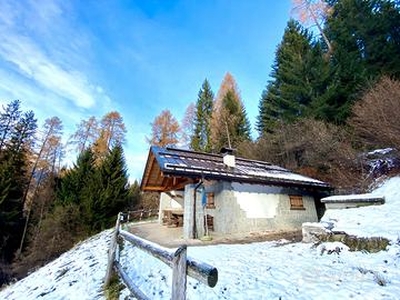 Baita chalet in Val Rendena - Trentino