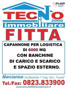 Capannone per Logistica con banchine