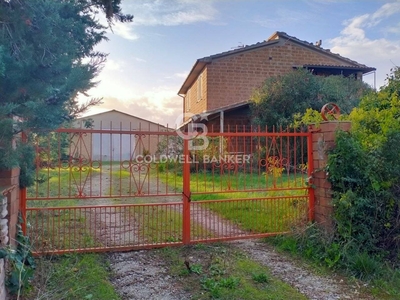 Casa in vendita in Scansano, Italia