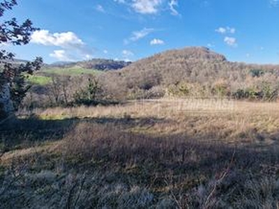 Rudere immerso nel verde