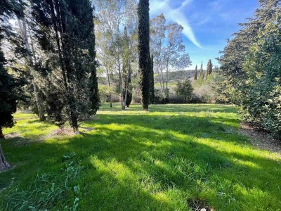 Rustic Country House for Sale in Massa Marittima: 2 Hectares of Land 15 Minutes from the Sea in Follonica