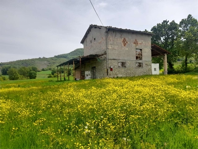 Rustico con terreno zona castelli