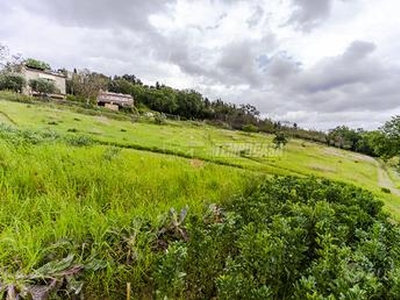 Terreno agricolo con cubatura da edificare zona Co