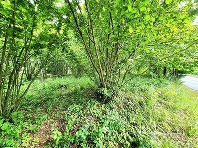 Terreno agricolo con possibilità di costruire