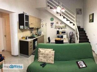 Appartamento arredato con terrazzo Centro urbano