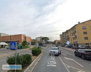 Appartamento arredato con terrazzo Chiugiana la commenda