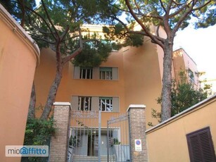 Appartamento arredato con terrazzo Trastevere, aventino, testaccio