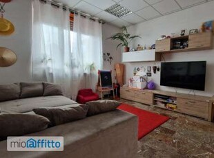 Appartamento con terrazzo Piana san raffaele