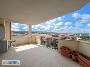 Appartamento con terrazzo Viterbo