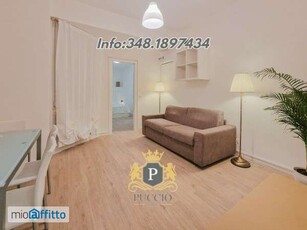 Bilocale arredato con terrazzo Borgo trento