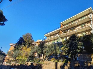 Frascati panoramico appartamento con terrazzo