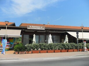 Negozio da ristrutturare a Viareggio