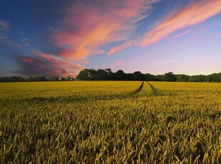 Terreno agricolo in Vendita a Siena, 750'000€, 500000 m²