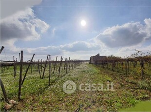 Terreno agricolo in Vendita in a Casamassima