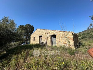 Terreno agricolo in Vendita in Contrada Bosco a Collesano