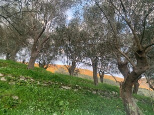 Terreno in vendita, San Giuliano Terme asciano