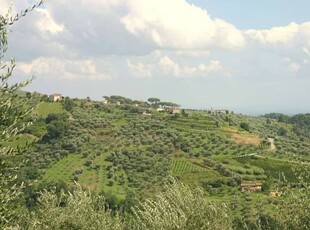 Villa in Vendita a Capannori Tofori