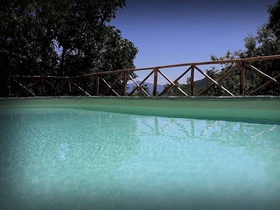 Casa Paolina, alloggio in tipica struttura Toscana con piscina immersa nel verde